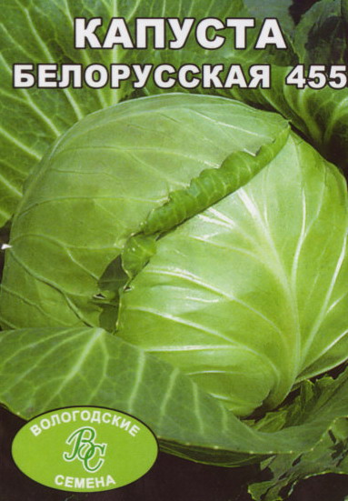 Капуста белорусская фото Капуста белорусская 455 описание сорта отзывы садоводов: найдено 84 картинок